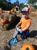 IMG-20260920-WA0174