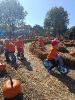 IMG-20260920-WA0176