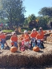 IMG-20260920-WA0178