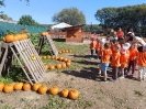 IMG-20260920-WA0182